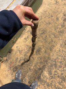 Irish walking stick