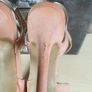 XTI Tentations Ladies high heels stilettos nude Size 40 UK 7 open peep toe ankle strap shoes Image 10