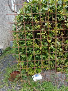 Rebar Mesh A393