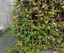 Rebar Mesh A393