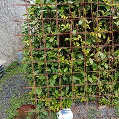 Rebar Mesh A393