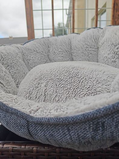 dog bed