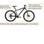 carreara vengeance 27.5 Image 5