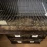 breeding cages Image 3