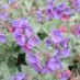 Station38