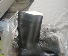 Wellies