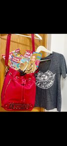 Woman's Bag Large Job Lot Bundle