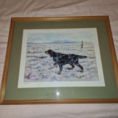 Limited edition print of Gordon Setter