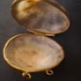 Antique Shell Trinket Pill Image 4
