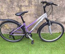 14" Giant Rock Excess Mountain