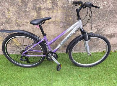 14" Giant Rock Excess Mountain