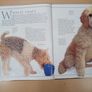 Large Dog Book Bundle Image 5