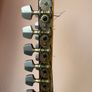 Daion 12-String Acoustic Guitar Image 10