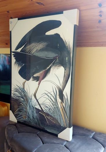NEW 2 Large Format Framed Bird Artworks