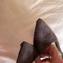 suede heels Anne Klein Image 10