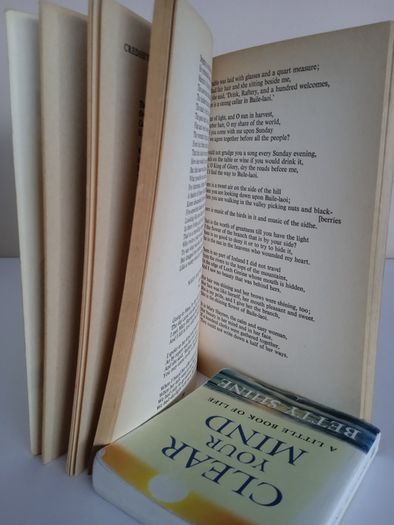 Love Poems of the Irish Edited by Sean Lucy (RB32)
