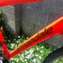 Cannondale Quick 7 Hybrid Bike - Size Large - Fully Serviced - Excellent Condition - Riders 5ft 4" - 5ft 11" Image 4