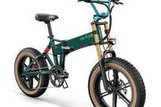 Fiido M1 Pro Electric Bike