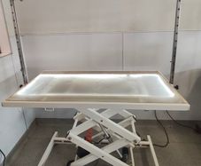 Electric dog grooming table with LED lighting