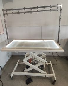 Electric dog grooming table with LED lighting