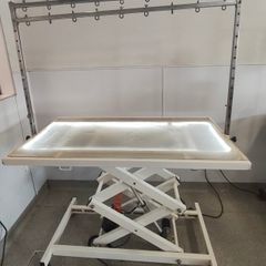 Electric dog grooming table with LED lighting