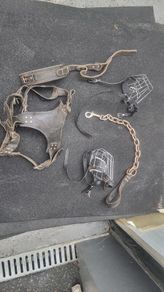 dog leads harness and muzzles blanket