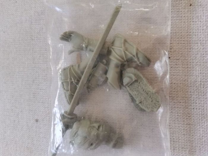 120mm ronin miniature by Pilipili Miniatures