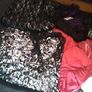 Bundle of brandnew cloths Image 2