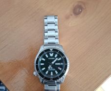 Citizen "Fugu" Promaster