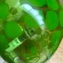 Vintage Ikea Knubbig table lamp Image 8