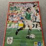 Republic of Ireland Match Programmes For Sale Image 2