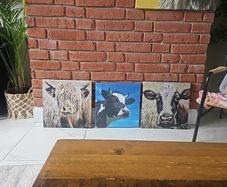 Cow pictures