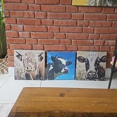 Cow pictures