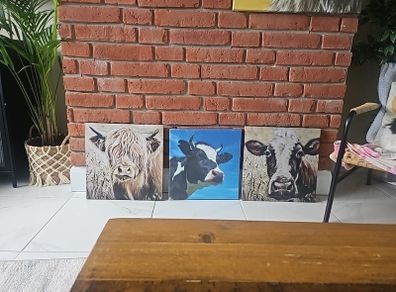 Cow pictures