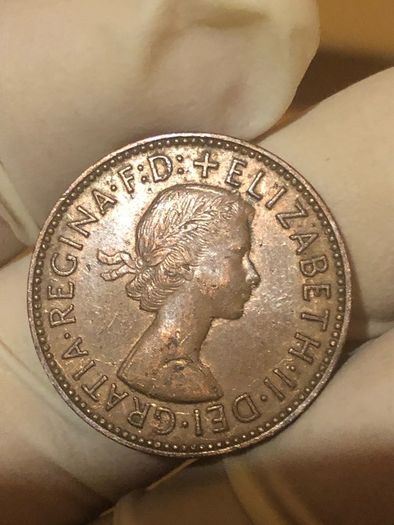Elizabeth Halfpenny  x28 Pictures of each coin