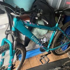 Lady's Bike