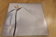 New Musik - Vinyl Records