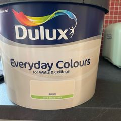 Dulux Matt interior wall paint
