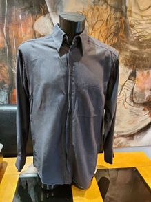 Haupt Evolution Casual Shirt