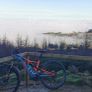 Specialised Levo Carbon Comp. Mountain Bike Image 2