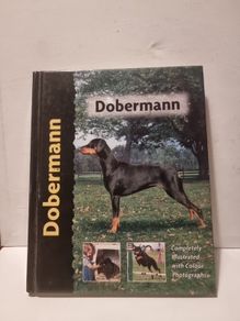 Dobermann - Pet Love
