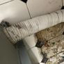 Tumble Dryer - Hot Point Image 6