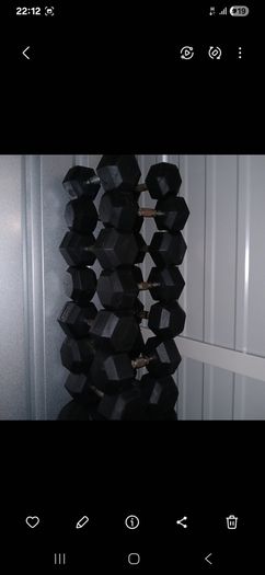 Dumbells Set