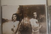 PJ Harvey CD  - Is This Desire?