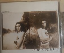 PJ Harvey CD  - Is This Desire?