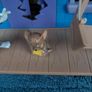 Tom & Gerry's Tricky Trap House Image 8