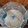 Omlet Geo Bird Cage Image 2