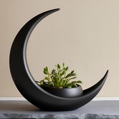Crescent Moon Decoration With Elliptical Plant Pot