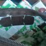 Clutch Bag or Coin Purse Image 4