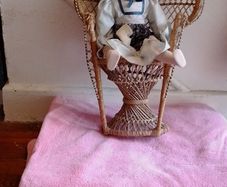 Doll 21